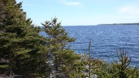 Off-Grid and Free: Considerations When Selecting Your Homestead Site Image